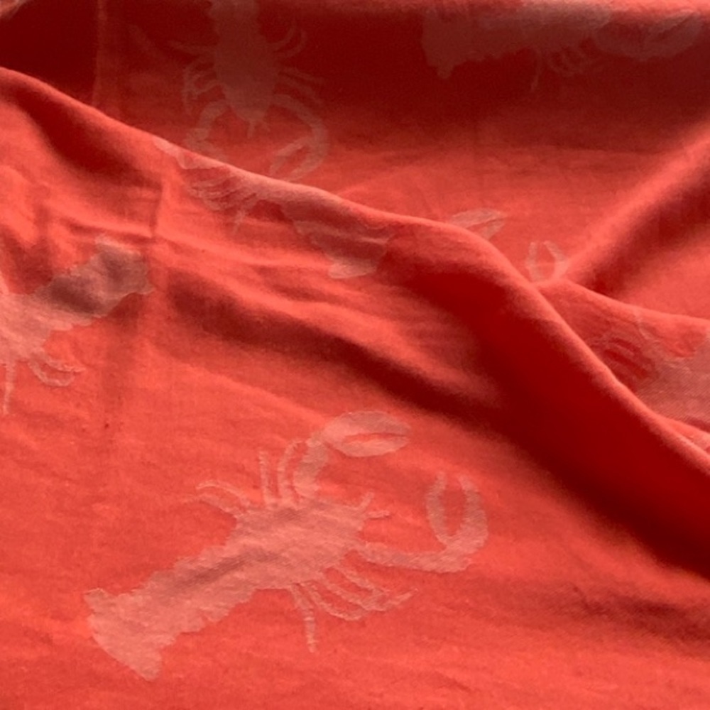 Lobster Louie SET Organic Cotton Blanket Towel 2 Sided + Nap Pillow Cover 🦞 Red - Picture 11 of 14